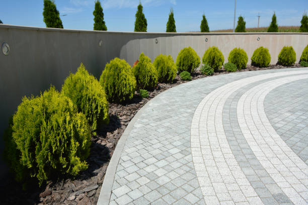 Best Commercial Driveway Pavers  in Butler, IN